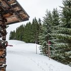 Wanderung am Bartholomäberg