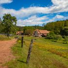 Wanderung am Gimbelhof