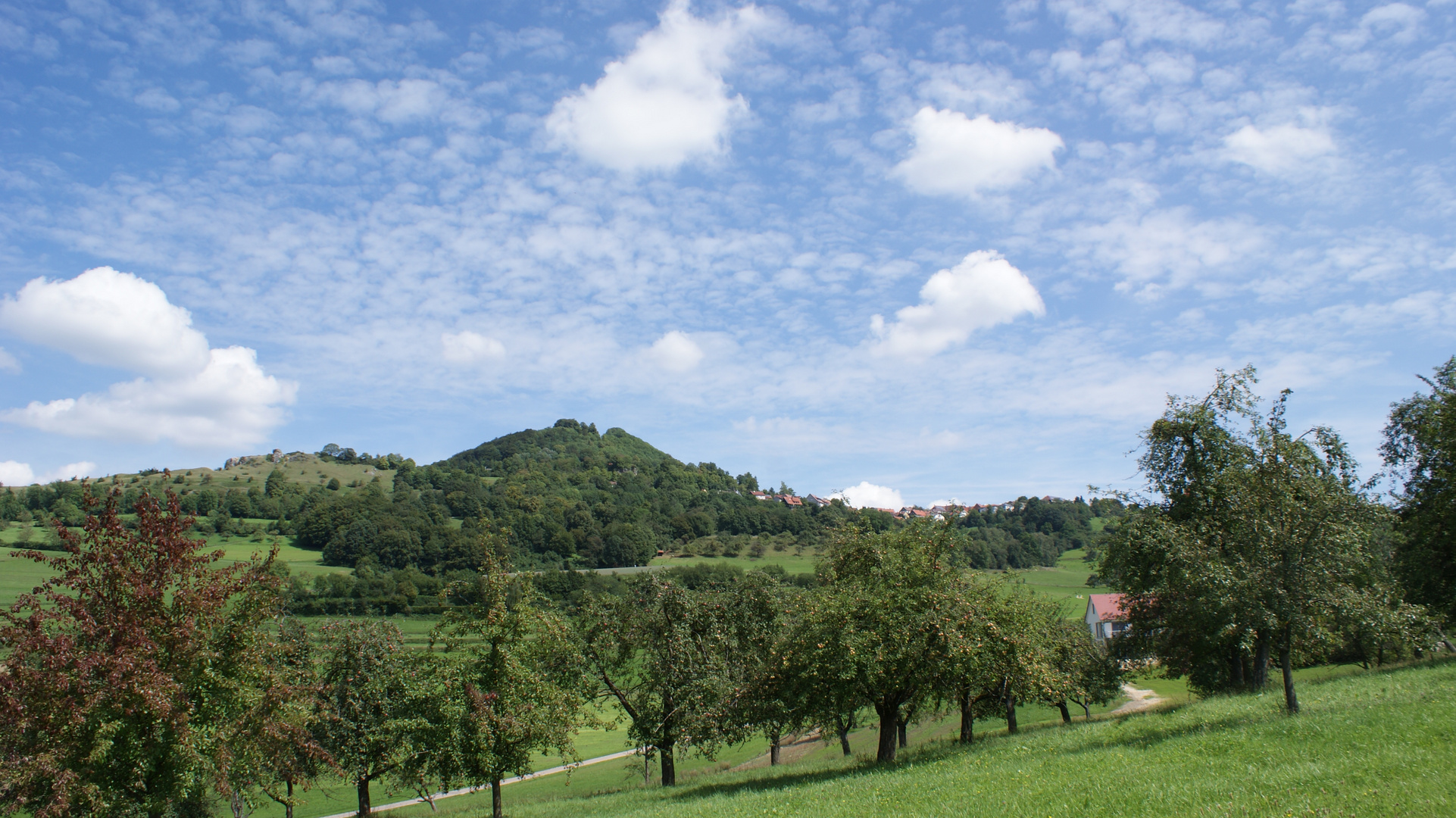 Wanderung am Hohenstaufen