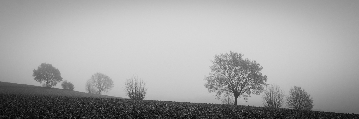 Wanderung am Horizont