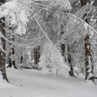 Wanderung am Nationalfeiertag