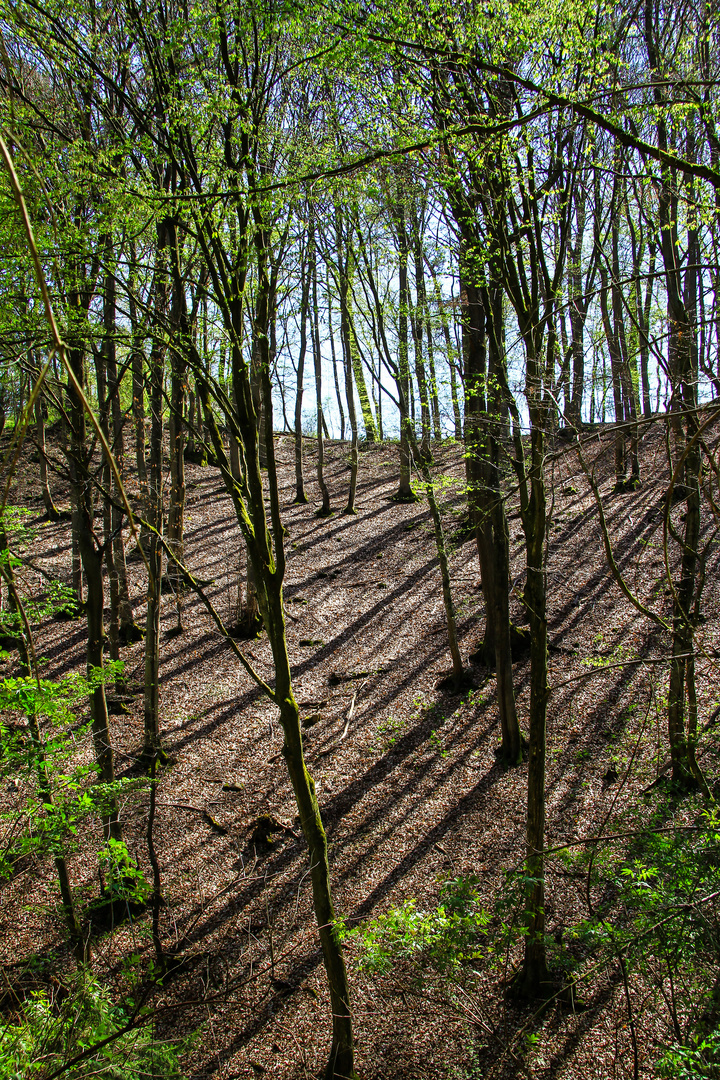 Wanderung am Ostersamstag...01