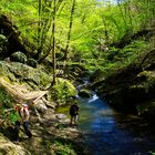 Wanderung am Ostersamstag...10