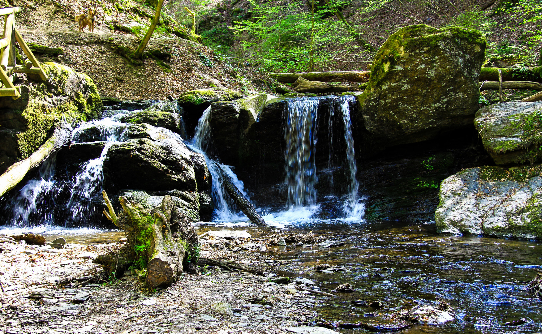 Wanderung am Ostersamstag...12