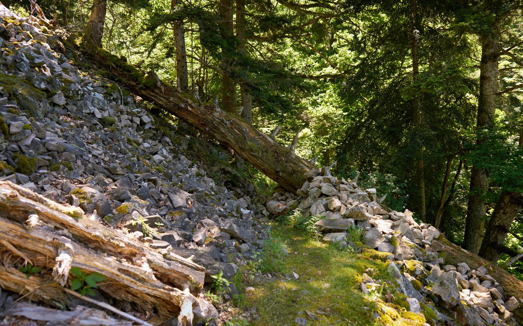 Wanderung am Rappenfelsen