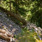 Wanderung am Rappenfelsen