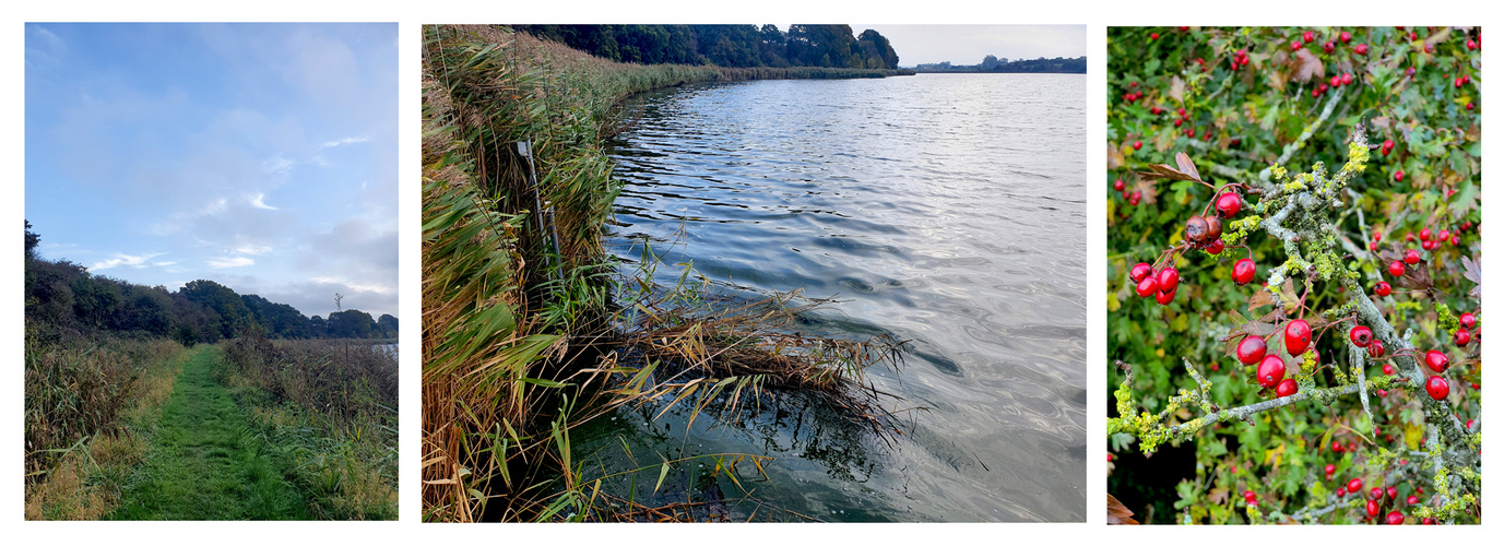 Wanderung am See