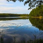 Wanderung am Stechlin