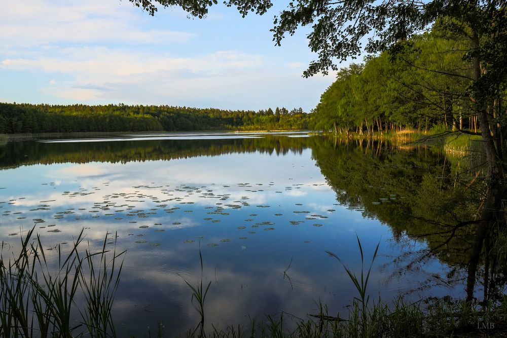 Wanderung am Stechlin