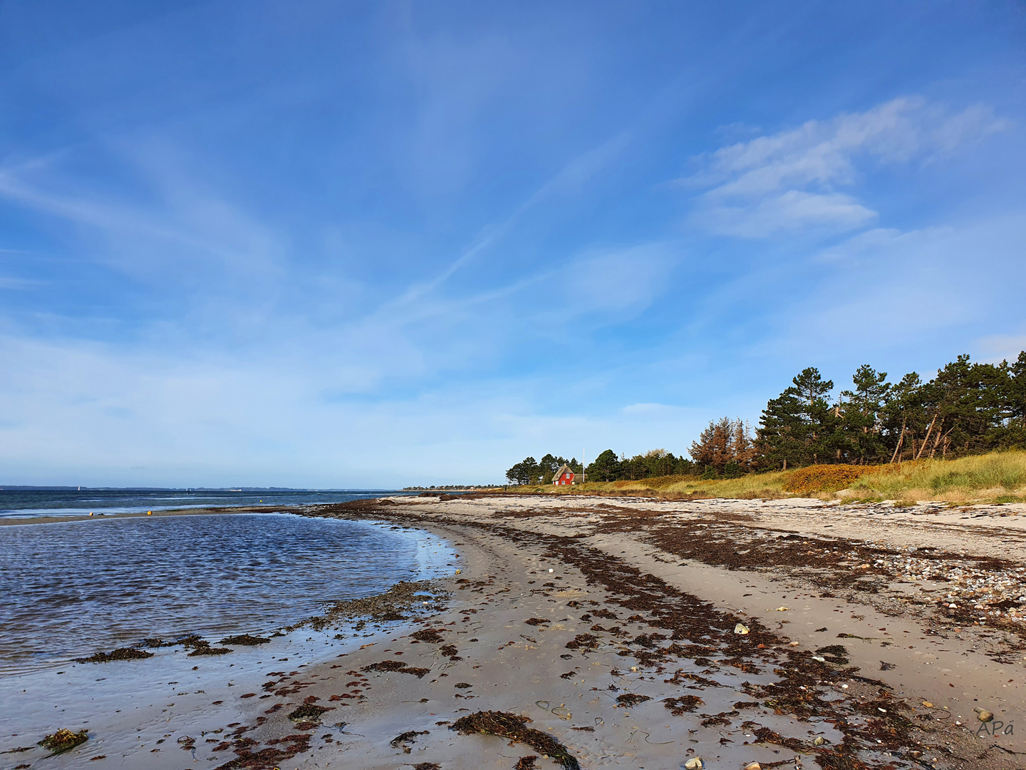 Wanderung am Strand