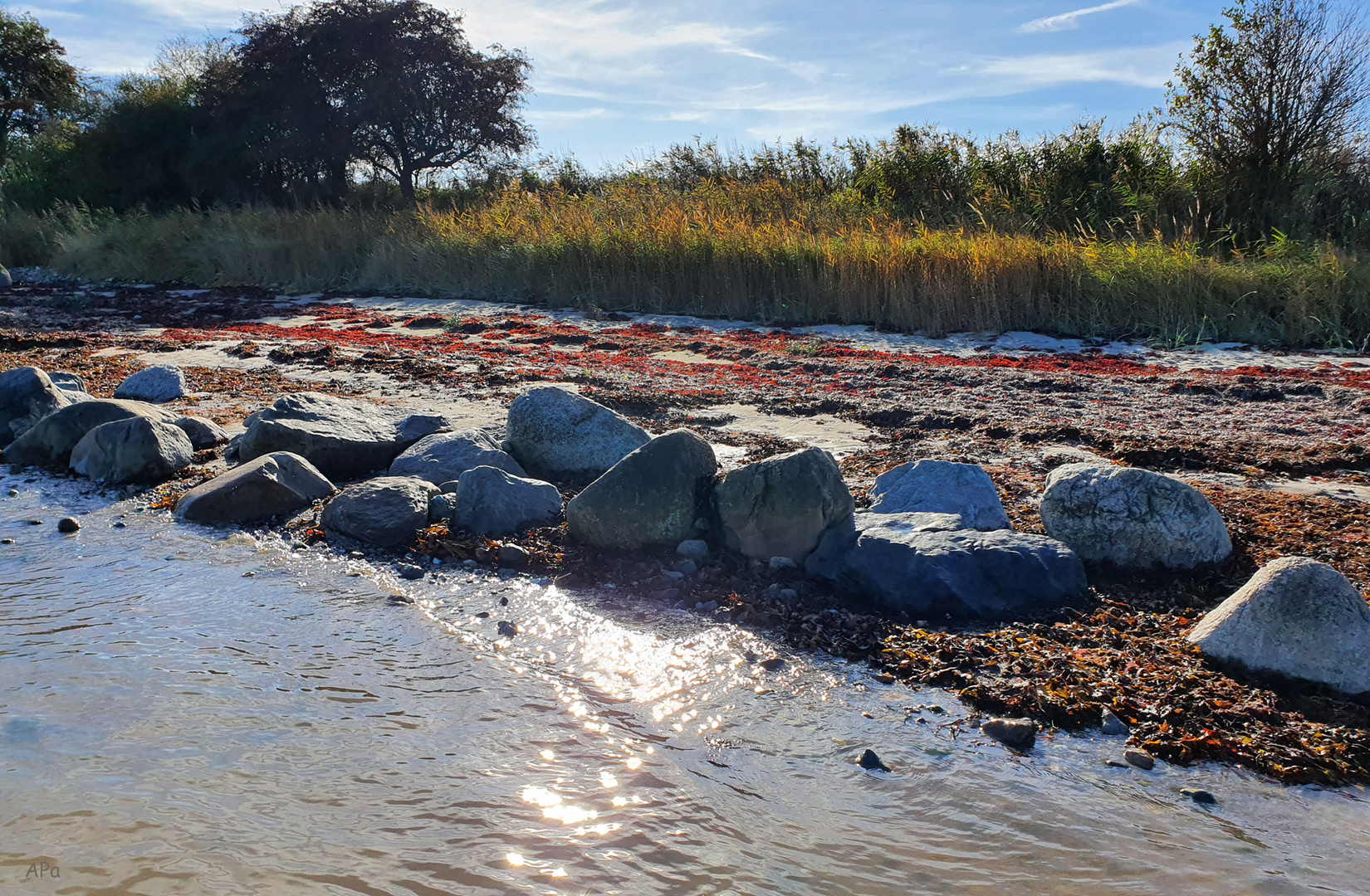 Wanderung am Strand