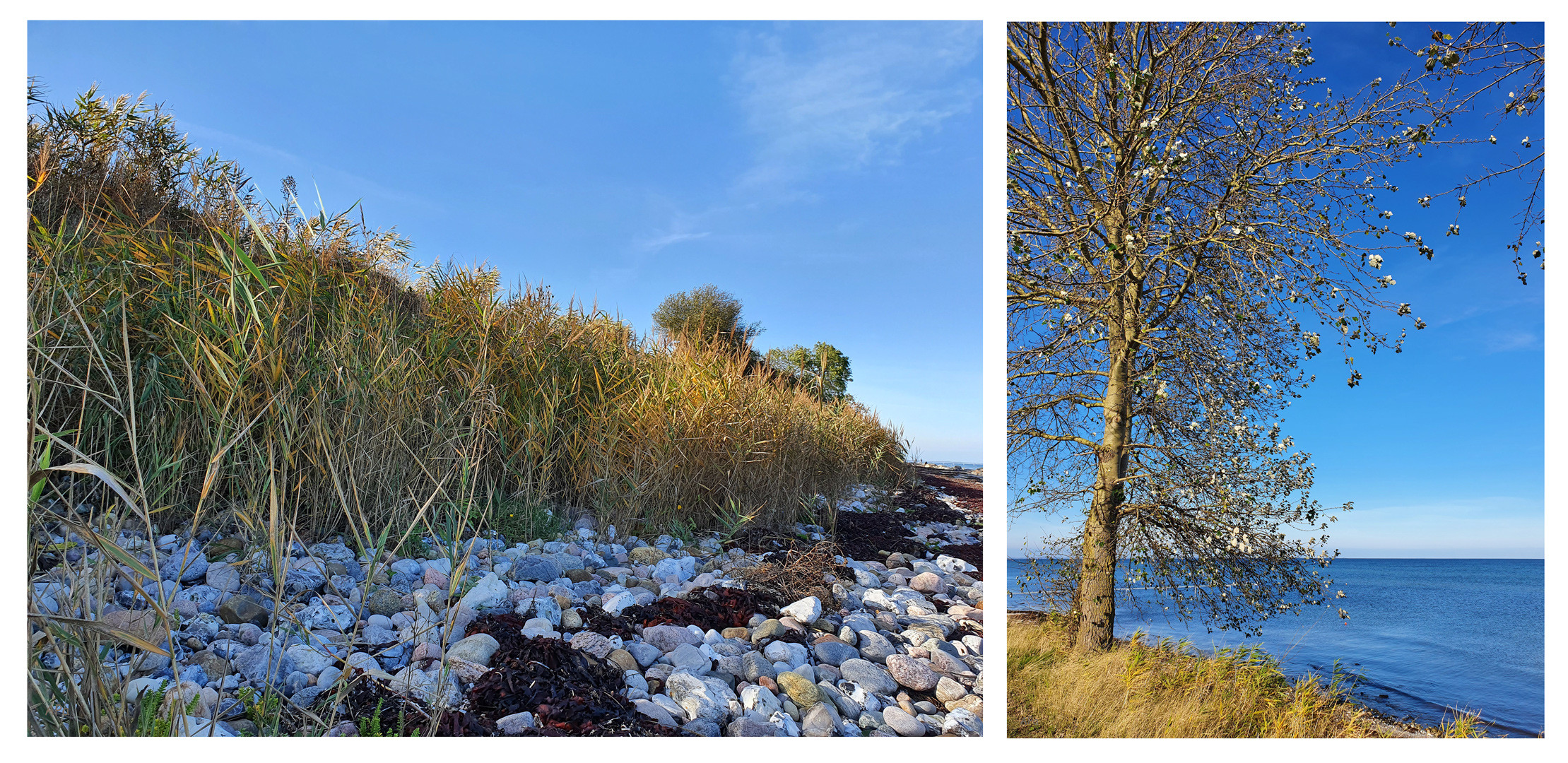 Wanderung am Strand...