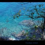 Wanderung am Strand_1