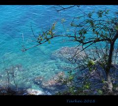 Wanderung am Strand_1