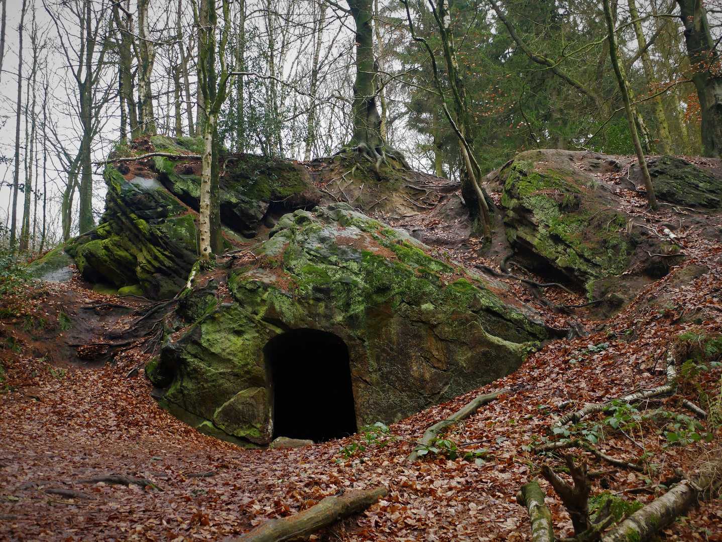 Wanderung am Teuto 2022 - Das Rolandsgrab am Hexenpfad bei Tecklenburg