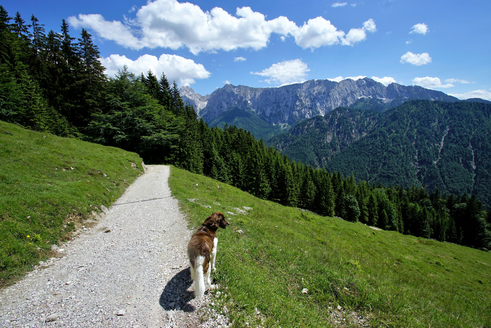 Wanderung am Zahmen Kaiser.