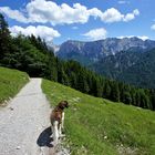 Wanderung am Zahmen Kaiser.