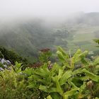 Wanderung an den Kraterseen bei Ses Cidades