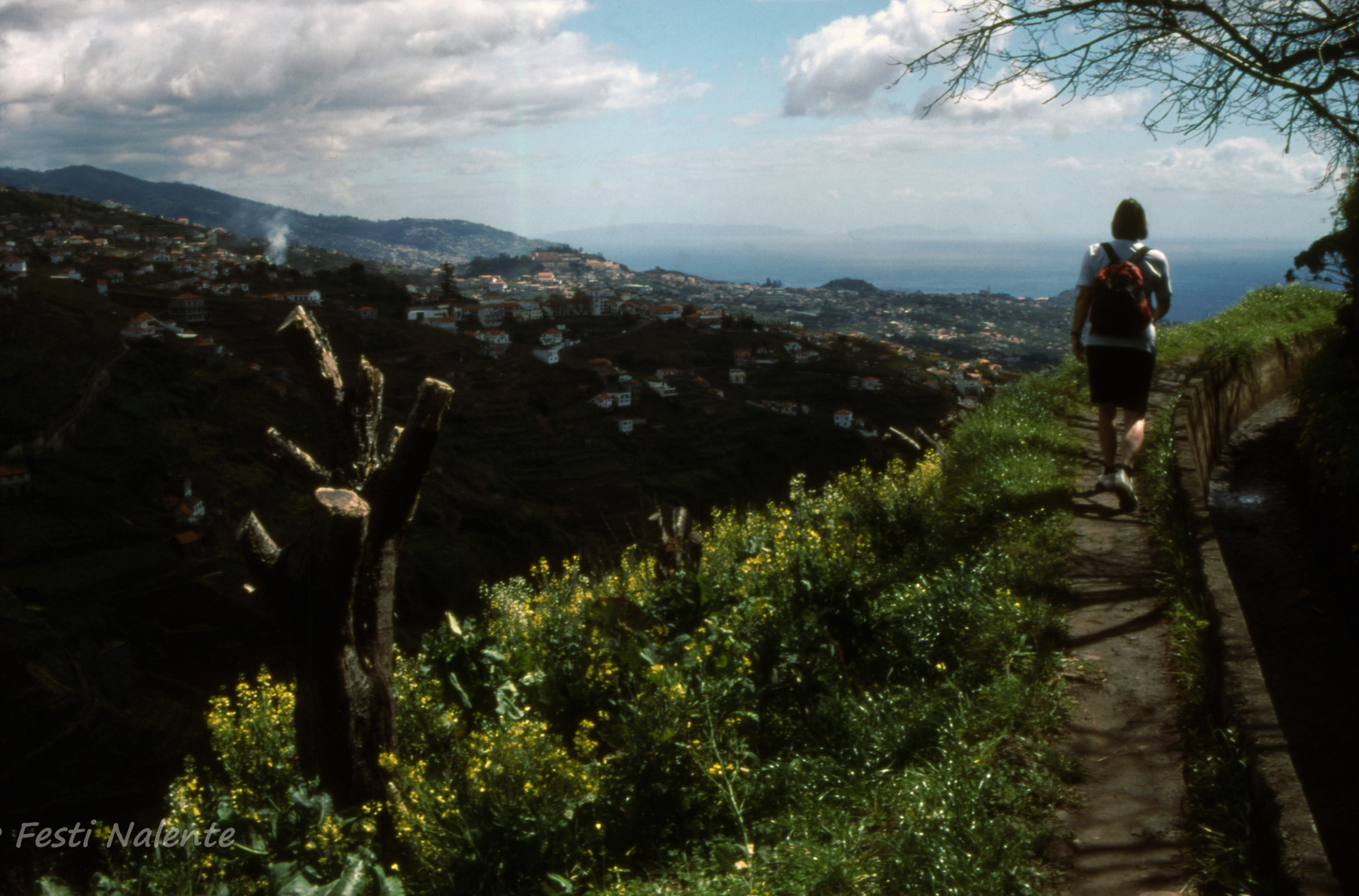 Wanderung an einer Levada