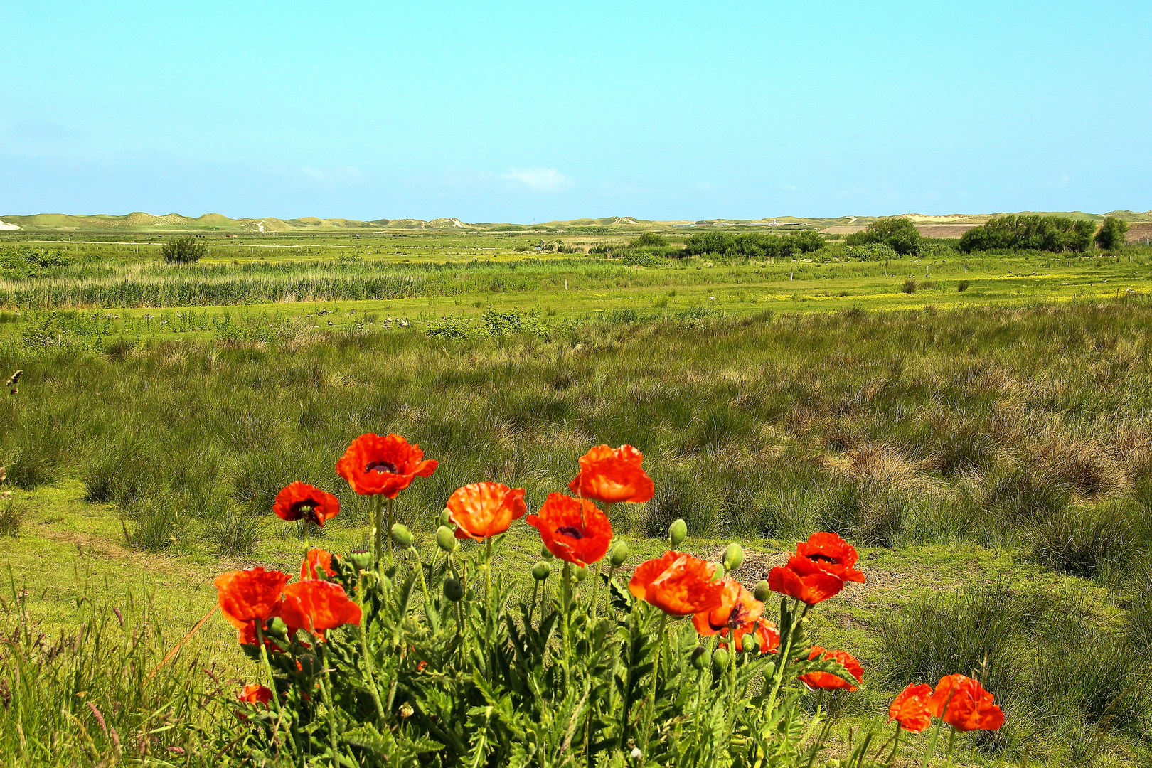 Wanderung auf Amrum