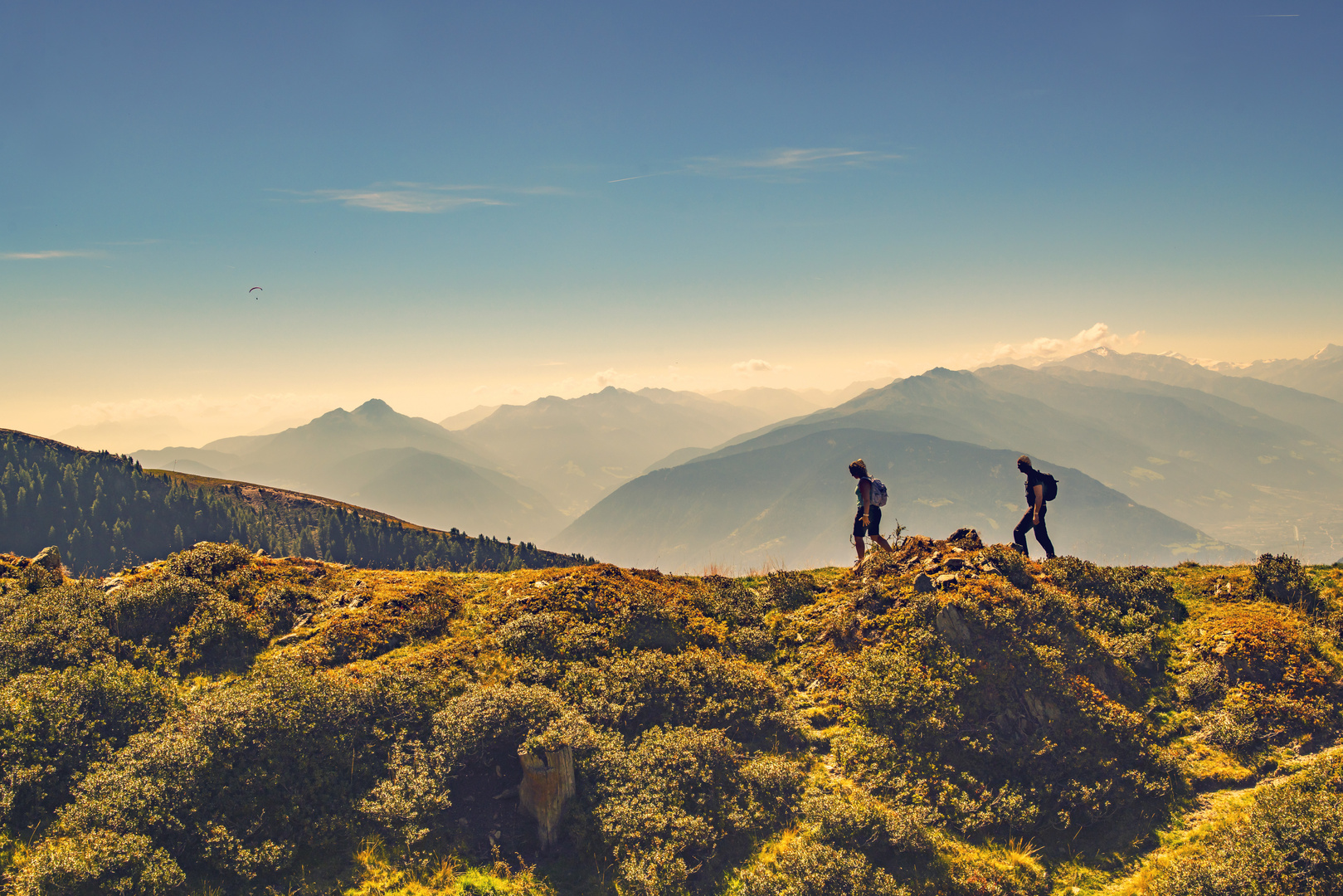 Wanderung auf dem Hirzer Almweg in Südtirol