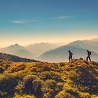 Wanderung auf dem Hirzer Almweg in Südtirol