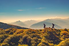 Wanderung auf dem Hirzer Almweg in Südtirol