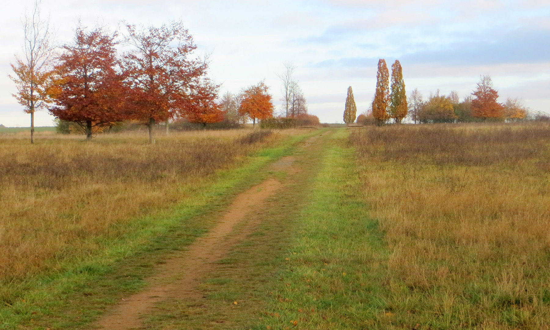 Wanderung auf dem Kronsberg