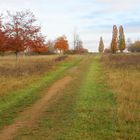 Wanderung auf dem Kronsberg