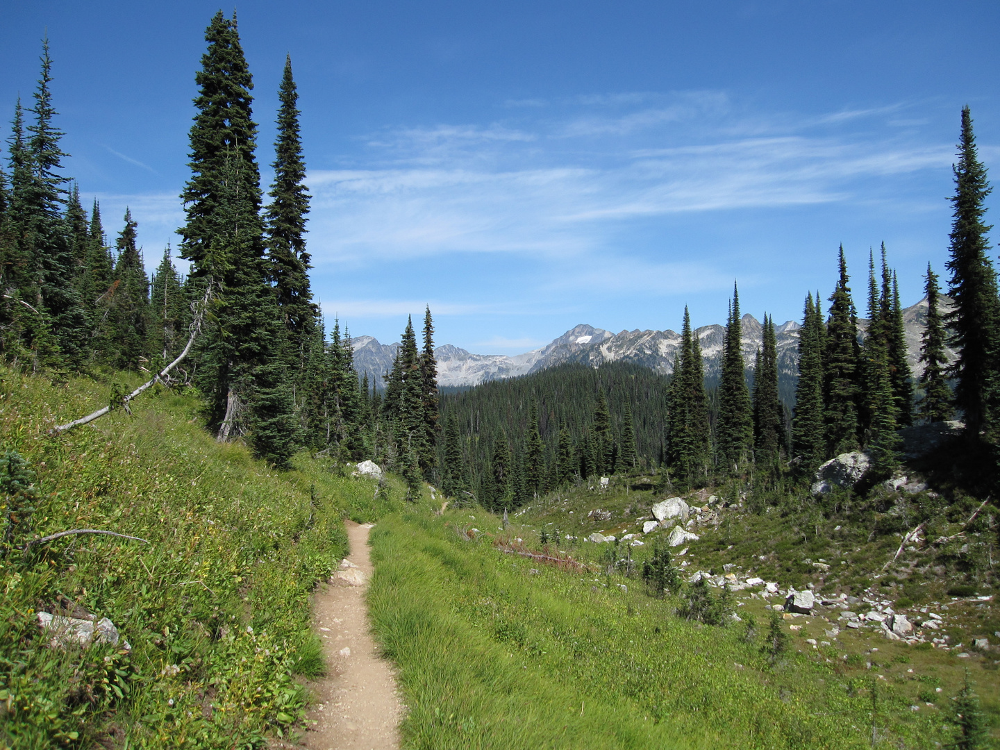 Wanderung auf dem Mount Revelstoke (British Columbia, Canada) 2009