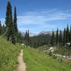 Wanderung auf dem Mount Revelstoke (British Columbia, Canada) 2009