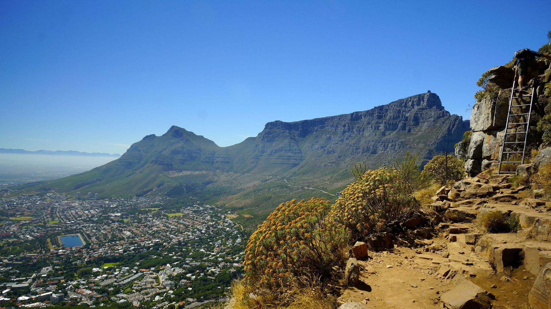 Wanderung auf den Lion´s Head über Kapstadt.Im Hintergrund der Tafelberg