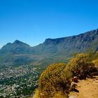 Wanderung auf den Lion´s Head über Kapstadt.Im Hintergrund der Tafelberg