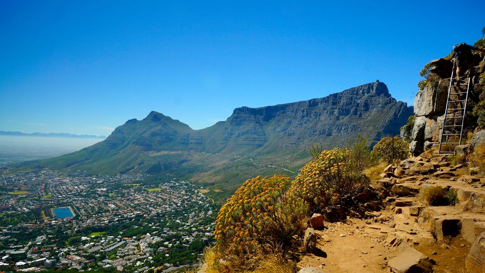 Wanderung auf den Lion´s Head über Kapstadt.Im Hintergrund der Tafelberg