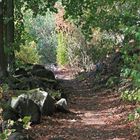 Wanderung auf den Ostry  Teil 2