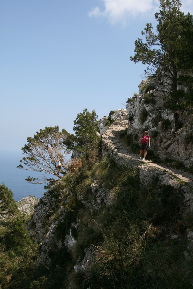 Wanderung auf den Talaja d`Alcudia