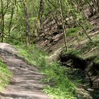 Wanderung auf der Geierlay-Schleife