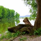 Wanderung auf der Insel Grafenwerth (Bad Honnef)