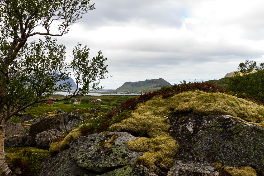 Wanderung auf der Insel Vestvågøy