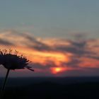 Wanderung auf der Neubürg