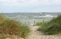 Wanderung auf der Vogelinsel