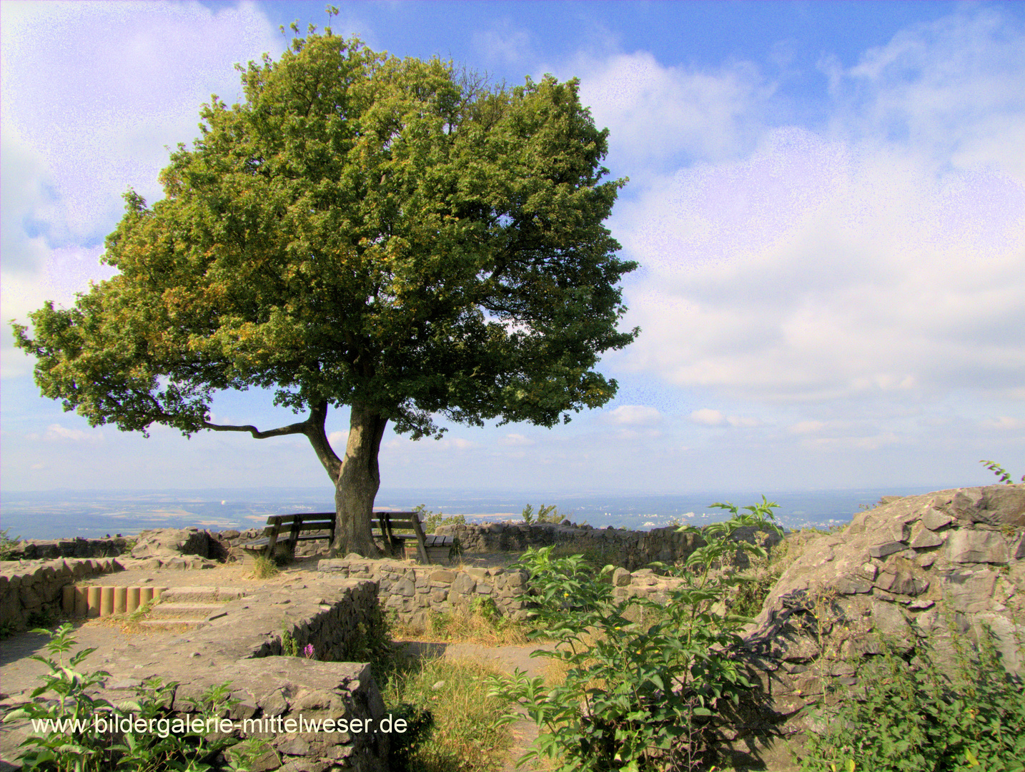 Wanderung auf die Löwenburg (Siebengebirge)