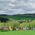 Wanderung auf einem der Frankenwald-Steigla