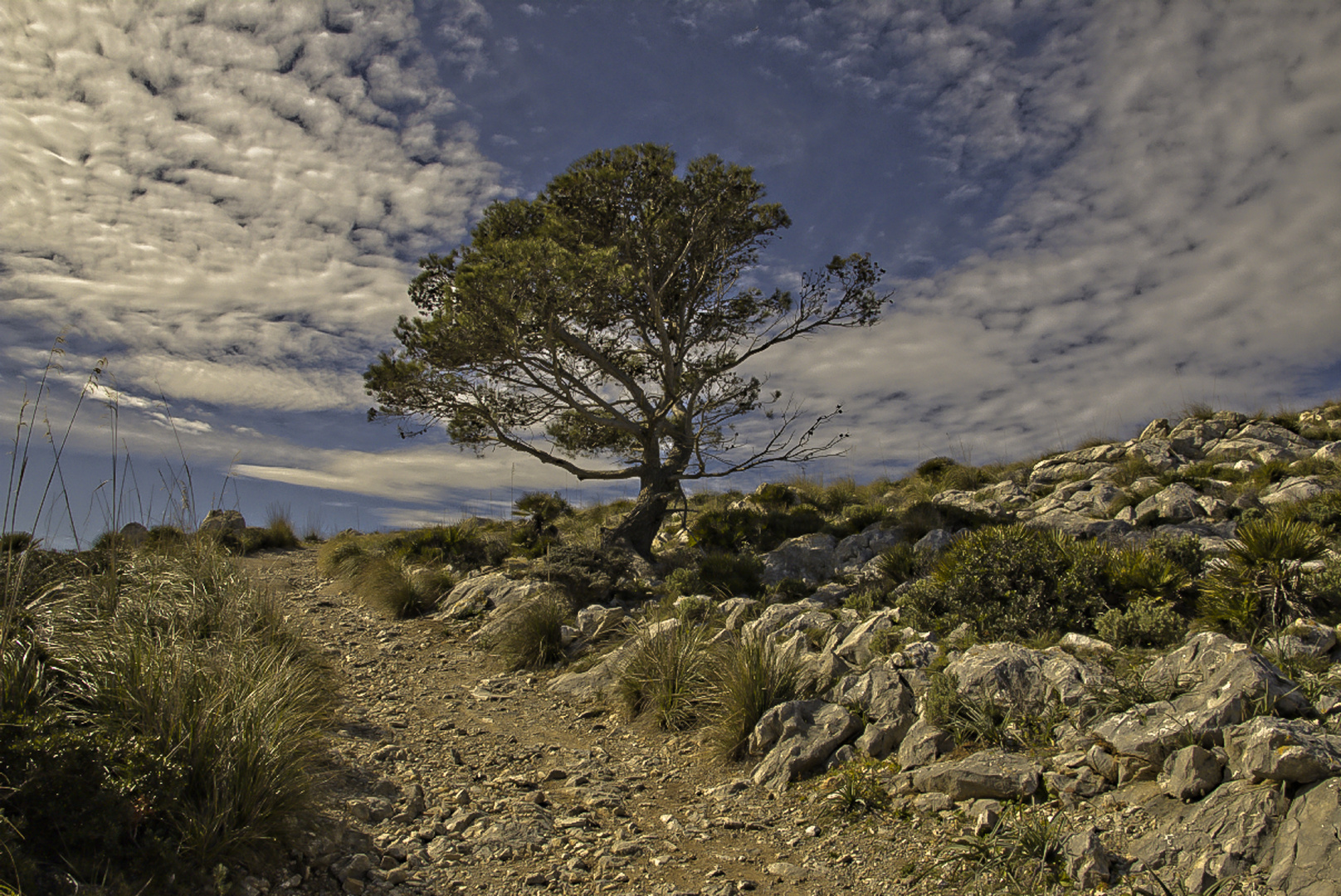 Wanderung auf Mallorca