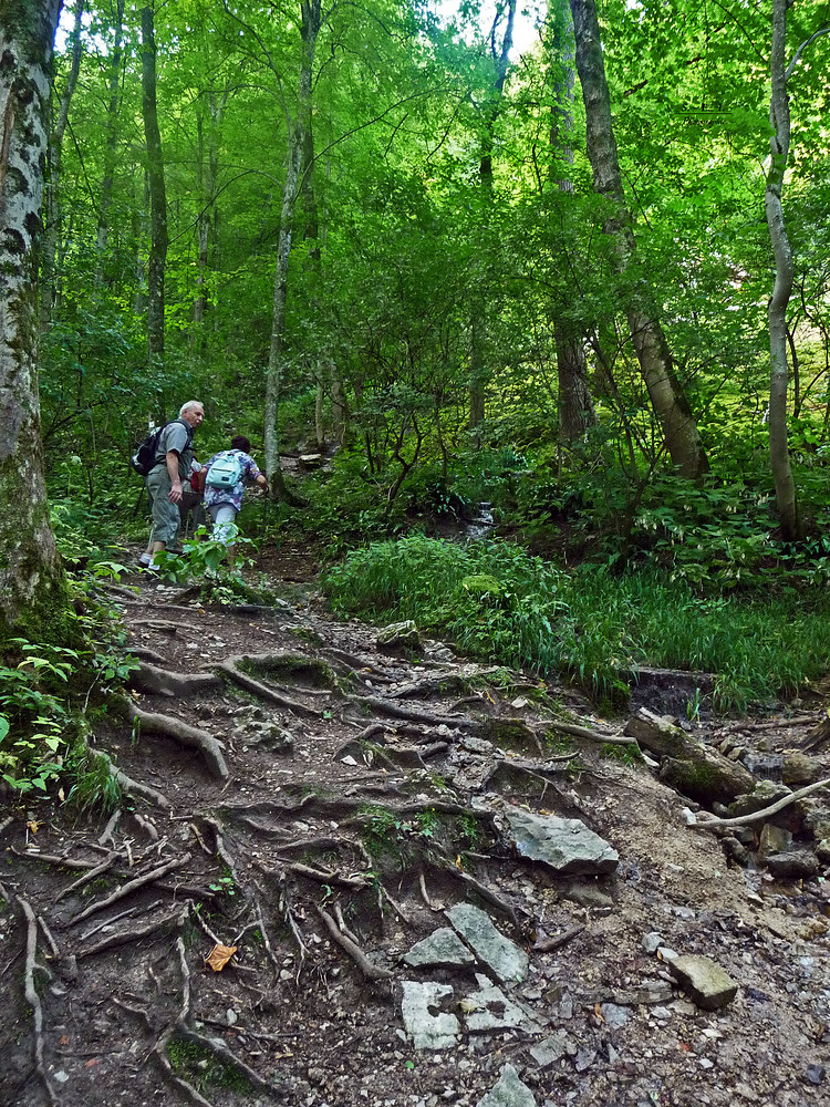 "Wanderung Bad Urach Tour 2/14"