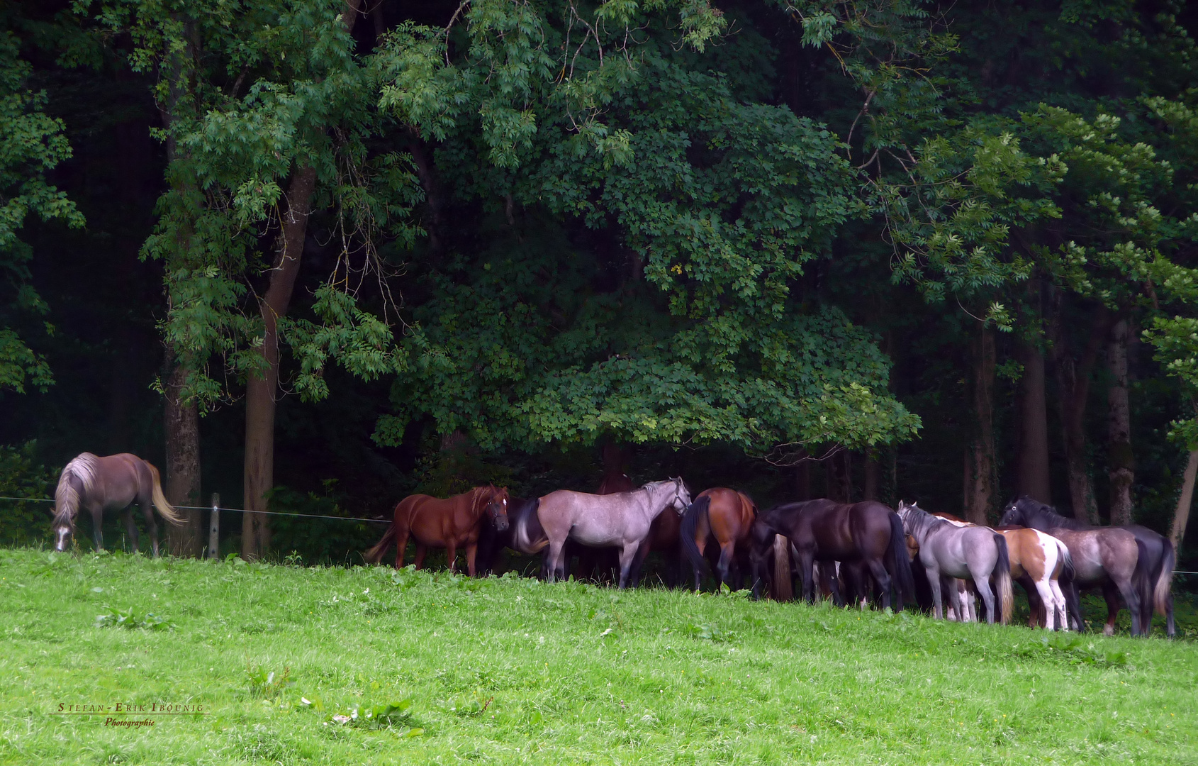 "Wanderung Bad Urach Tour 2/3"