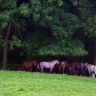 "Wanderung Bad Urach Tour 2/3"