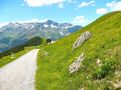 Wanderung bei Grindelwald by Von der Dinkelheide 