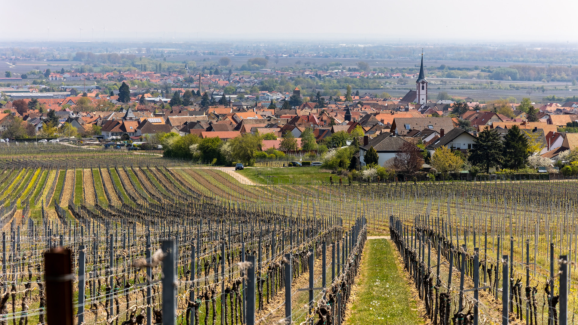 Wanderung bei Neustadt/Weinstraße-015