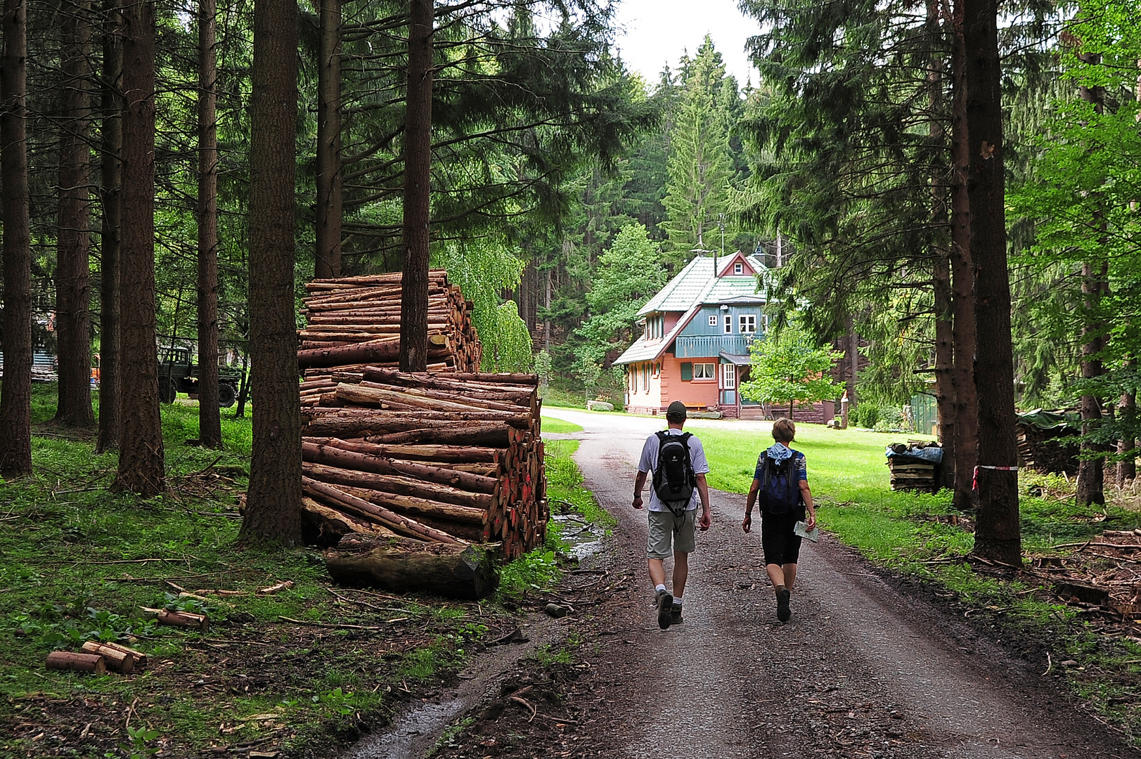 Wanderung bei Reichental, Nordschwarzwald